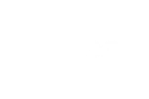 Dyson
